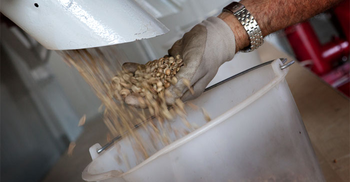 Torrefazione Paganotto